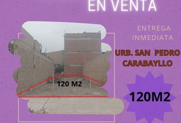 Terreno en  Urb San Pedro, Carabayllo, Perú