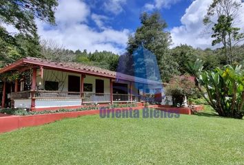 Villa-Quinta en  La Ceja, Antioquia, Colombia