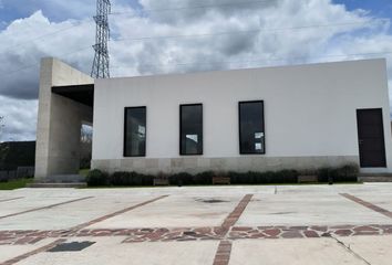 Lote de Terreno en  Valle De Los Reyes, Guanajuato, México