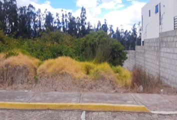 Terreno Comercial en  Mhcp+v5 Quito, Ecuador