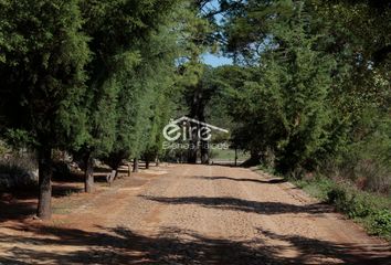 Lote de Terreno en  Carmen Aguilar 261, Atemajac De Brizuela, Jalisco, México