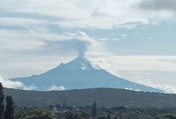 Departamento en  El Pochotal, Jiutepec, Morelos, México