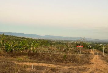 Terreno en  Mariscal Caceres, San Martin Departamento