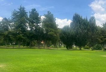 Lote de Terreno en  Venta Prieta, Pachuca De Soto