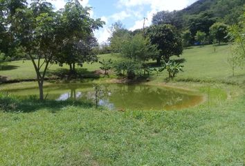 Villa-Quinta en  Carmen De Apicalá, Tolima, Colombia