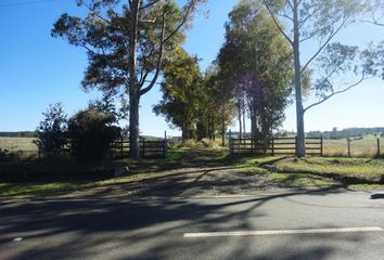 Parcela en  Osorno, Osorno