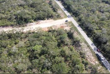 Lote de Terreno en  Haciendas Celestún, Carretera Federal 281, Mérida, Yucatán, México