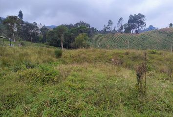 Villa-Quinta en  Vereda Azafranal Vía Panamericana Puente Peatonal, 45a, Silvania, Cundinamarca, Colombia