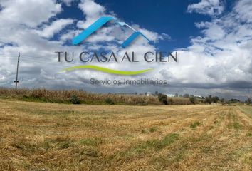 Lote de Terreno en  Ex Rancho San Dimas, San Antonio La Isla