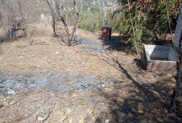 Lote de Terreno en  Pueblo Tilzapotla, Puente De Ixtla