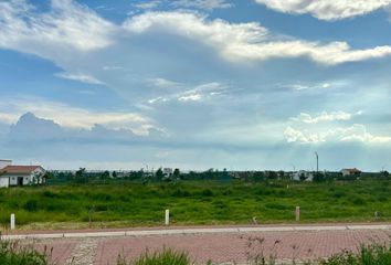 Lote de Terreno en  La Aurora, Lagos De Moreno, Lagos De Moreno, Jalisco