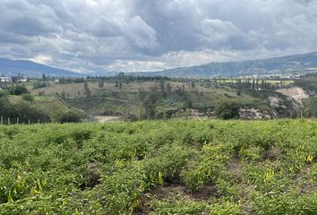 Terreno Comercial en  El Quinche, Quito, Ecuador