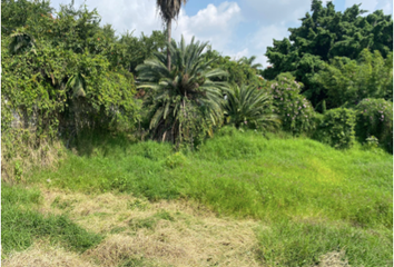 Lote de Terreno en  Blvd. Benito Juárez, Cuernavaca Centro, Centro, Cuernavaca, Morelos, México