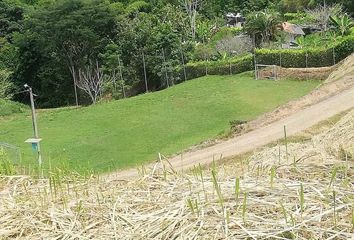 Lote de Terreno en  Centro, Manizales