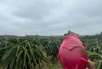 Terreno Comercial en  Vía Los Bajos, Montecristi, Ecuador