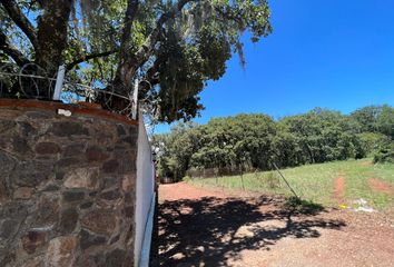 Lote de Terreno en  Huasca De Ocampo, Estado De Hidalgo, México