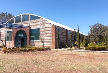 Local comercial en  San Pablo Ojo De Agua, Estado De Hidalgo, México