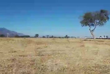 Lote de Terreno en  Vicente Guerrero, Centro, Teuchitlán, Jalisco, México