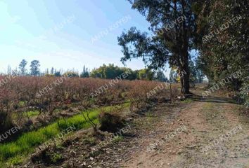 Parcela en  Yerbas Buenas, Linares