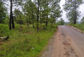 Lote de Terreno en  Circuito Atemajac De Brizuela, Atemajac De Brizuela, Jalisco, 45795, Mex