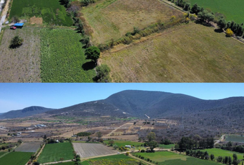 Lote de Terreno en  Cola De Lagarto. Campo Mitico, Calle Ejido, Ricardo Flores Magón, Atlixco, Puebla, México