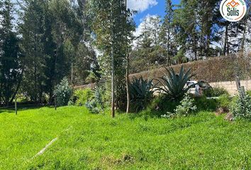 Terreno en  Otuzco Cajamarca, Cajamarca, Perú