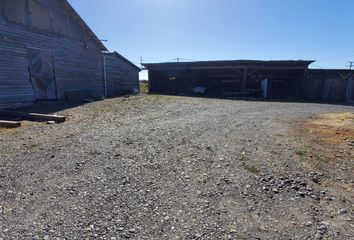 Bodega en  Puerto Montt, Llanquihue