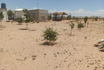 Rancho en  Plazuela De Acuña, Toribio Ortega, Juárez, Chihuahua, México