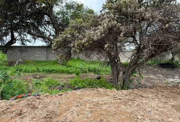 Lote de Terreno en  El Encino Residencial Y Golf, La Noria, Querétaro, México