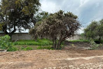 Lote de Terreno en  El Encino Residencial Y Golf, La Noria, Querétaro, México