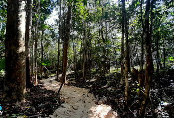 Lote de Terreno en  Puerto Morelos, Quintana Roo