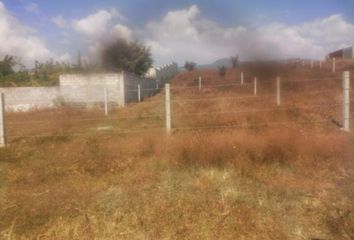 Lote de Terreno en  Ampliacion San Antonio, Atlatlahucan