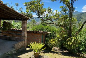 Villa-Quinta en  Vereda La Miel, Sendero, Caldas, Antioquia, Colombia