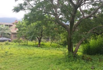 Lote de Terreno en  Santo Domingo Ocotitlan, Tepoztlán, Morelos, México