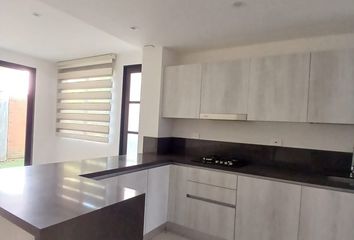 House for rent in Cerritos, Pereira
