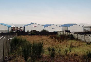 Bodega en  Calle Bórquez, Puerto Montt, Llanquihue, Los Lagos, 550, Chl