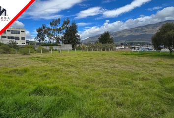 Terreno Comercial en  Guapante, Ambato, Ecuador