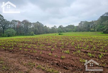 Lote de Terreno en  43517, Huasca De Ocampo, Hidalgo, Mex