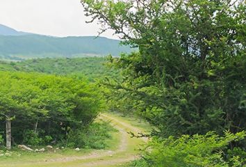 Lote de Terreno en  Centro, Cuautla De Morelos