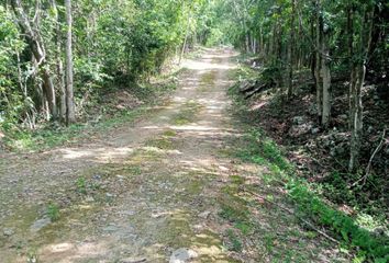 Lote de Terreno en  Heroes De Nacozari, Héroe De Nacozari, Q Roo, México