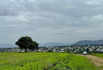 Lote de Terreno en  Fraccionamiento Lomas De Cocoyoc, Atlatlahucan