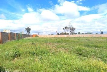 Lote de Terreno en  Cumbres De San Miguel, Carretera San Miguel De Allende - Doctor Mora, San Miguel De Allende, Guanajuato, México