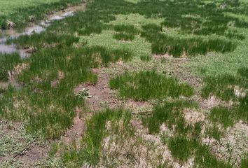 Lote de Terreno en  Santo Tomas Chautla, Santo Tomás Chautla, Puebla, México