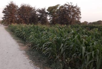 Terreno en  Cura Mori, Piura, Perú