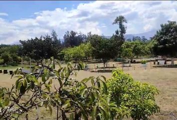 Terreno Comercial en  Tumbaco, Quito