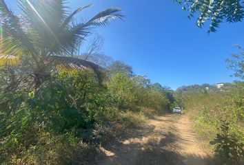 Lote de Terreno en  San Miguel Del Puerto, Oaxaca, Mex