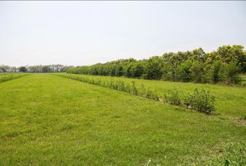 Lote de Terreno en  Flandes, Tolima, Colombia