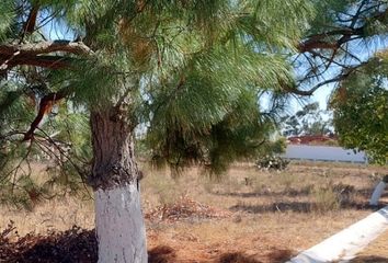 Lote de Terreno en  Acatlán, Hidalgo