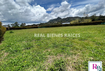 Lote de Terreno en  Rionegro Antioquía