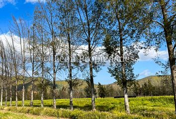 Parcela en  Curacaví, Melipilla